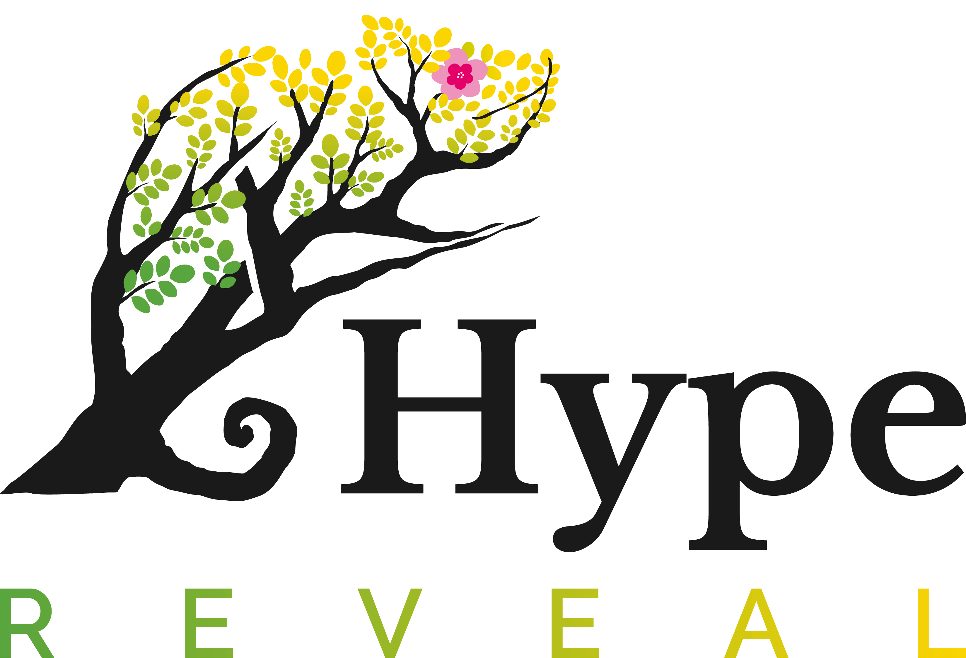 HypeReveal Unique Web3 Analytics